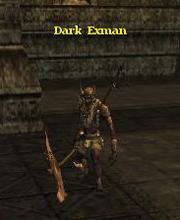 Dark Exman